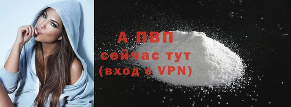 спайс Дмитриев