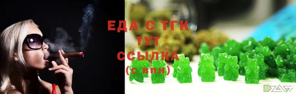 хмурый Гусь-Хрустальный