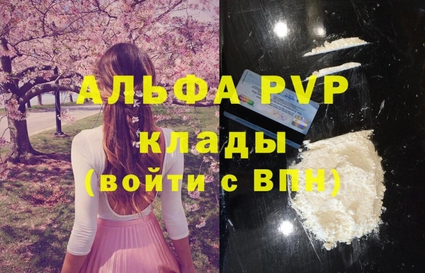 спайс Дмитриев
