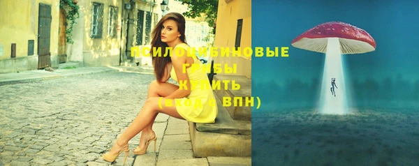 спайс Дмитриев
